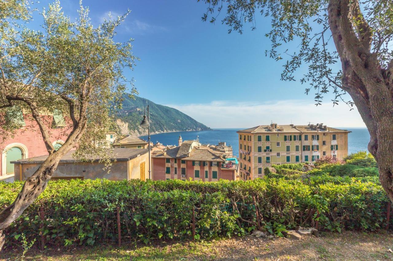 Apartment Monolocale Rilassati In Un Posto Bellissimo Camogli